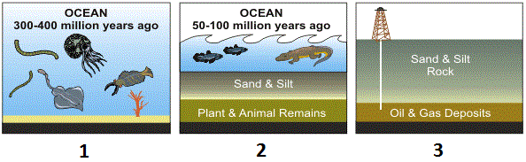 Formation of fossils |